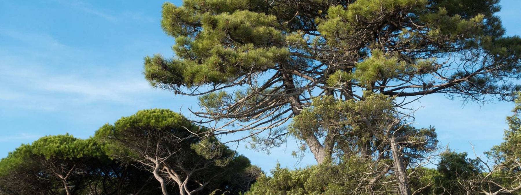 Vacances en famille dans un hôtel avec restaurant et plage en Toscane