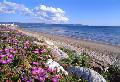 Tuscany sea hotel